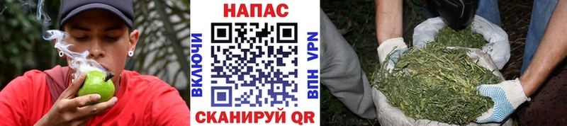 Бошки Шишки семена Кувшиново